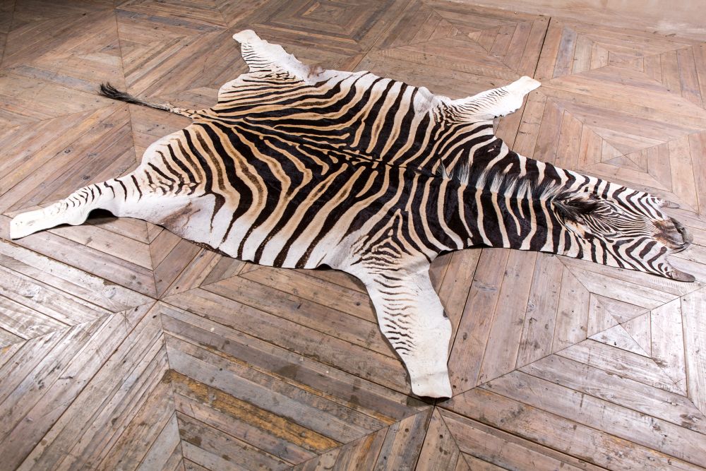 What Is Zebra hide rug?