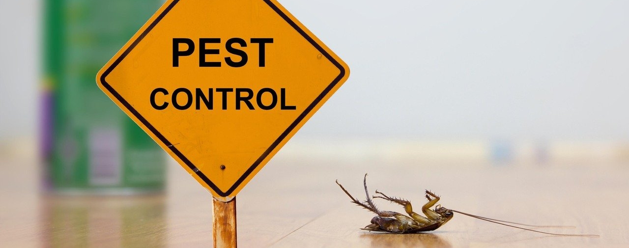 Corby-based pest-control: Helps Prevent Fire Accidents