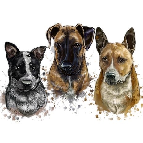 Discover pet portraits for photos of your canine friends online