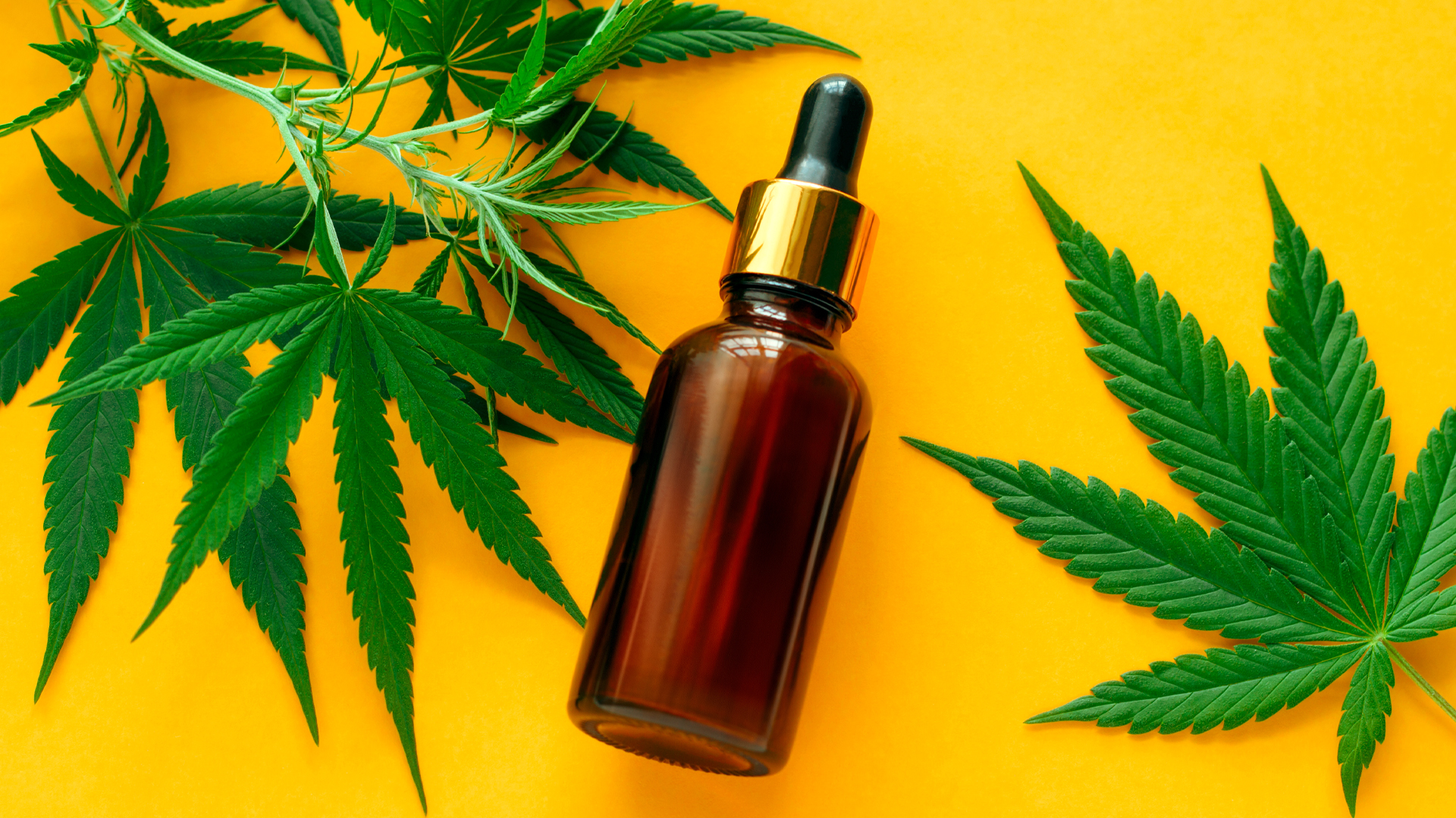 What are the medical benefits of CBD?