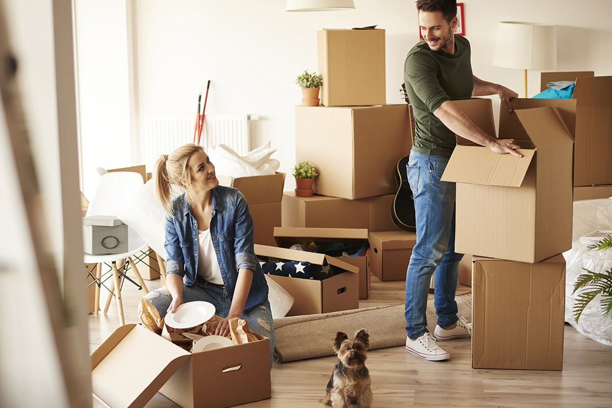 What are the Professional Moving Services by Movers?