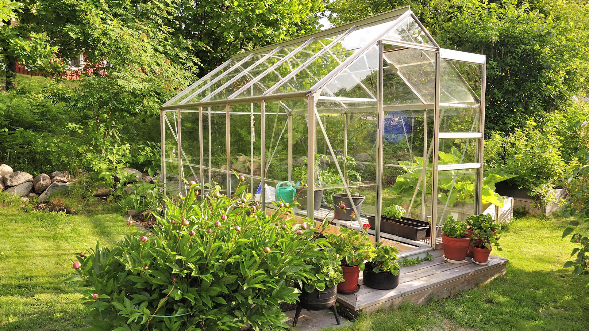 Increasing Shrubs In The Greenhouse