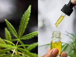 How To Locate The Right CBD Product or service For You And Your Lifestyle formula swiss
